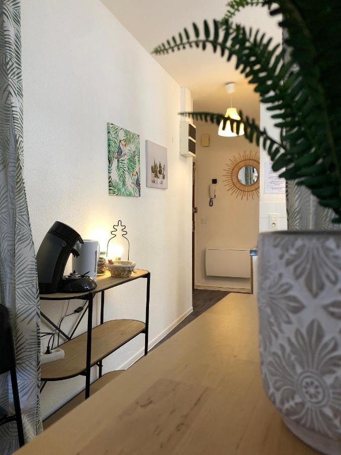 Apartmán Equateur-Centre Jaude Clermont-Ferrand Exteriér fotografie